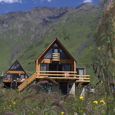 Mood Villa Kazbegi Extérieur photo