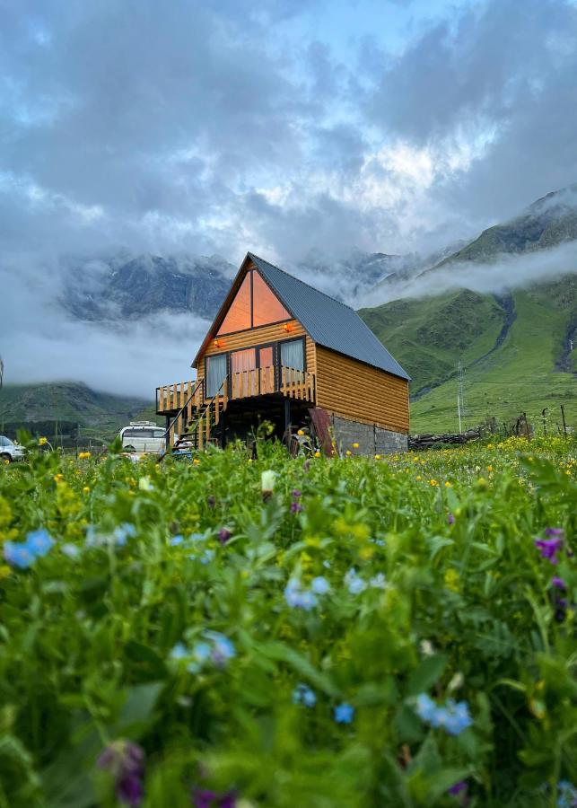 Mood Villa Kazbegi Extérieur photo