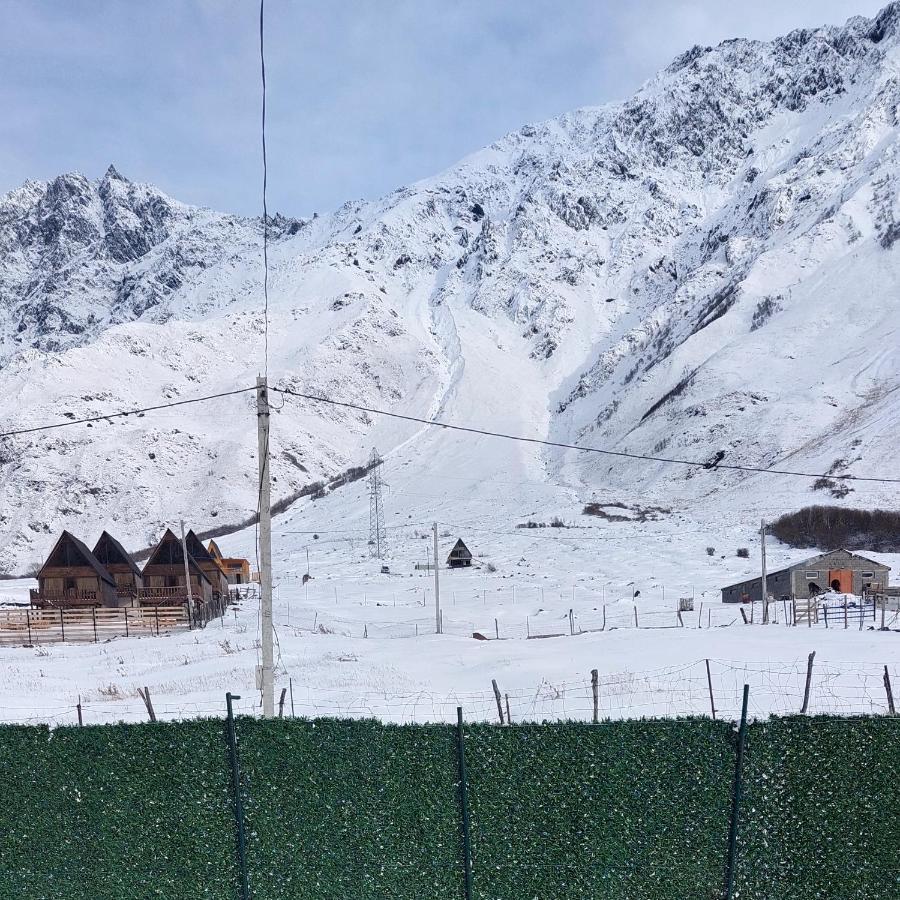 Mood Villa Kazbegi Extérieur photo