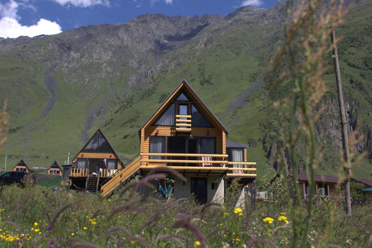 Mood Villa Kazbegi Extérieur photo